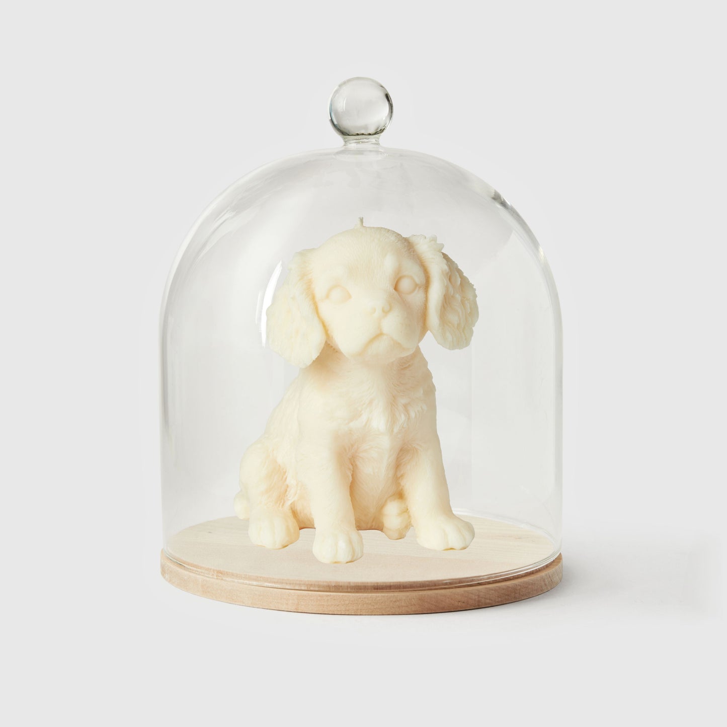 The Cavalier King Charles Candle