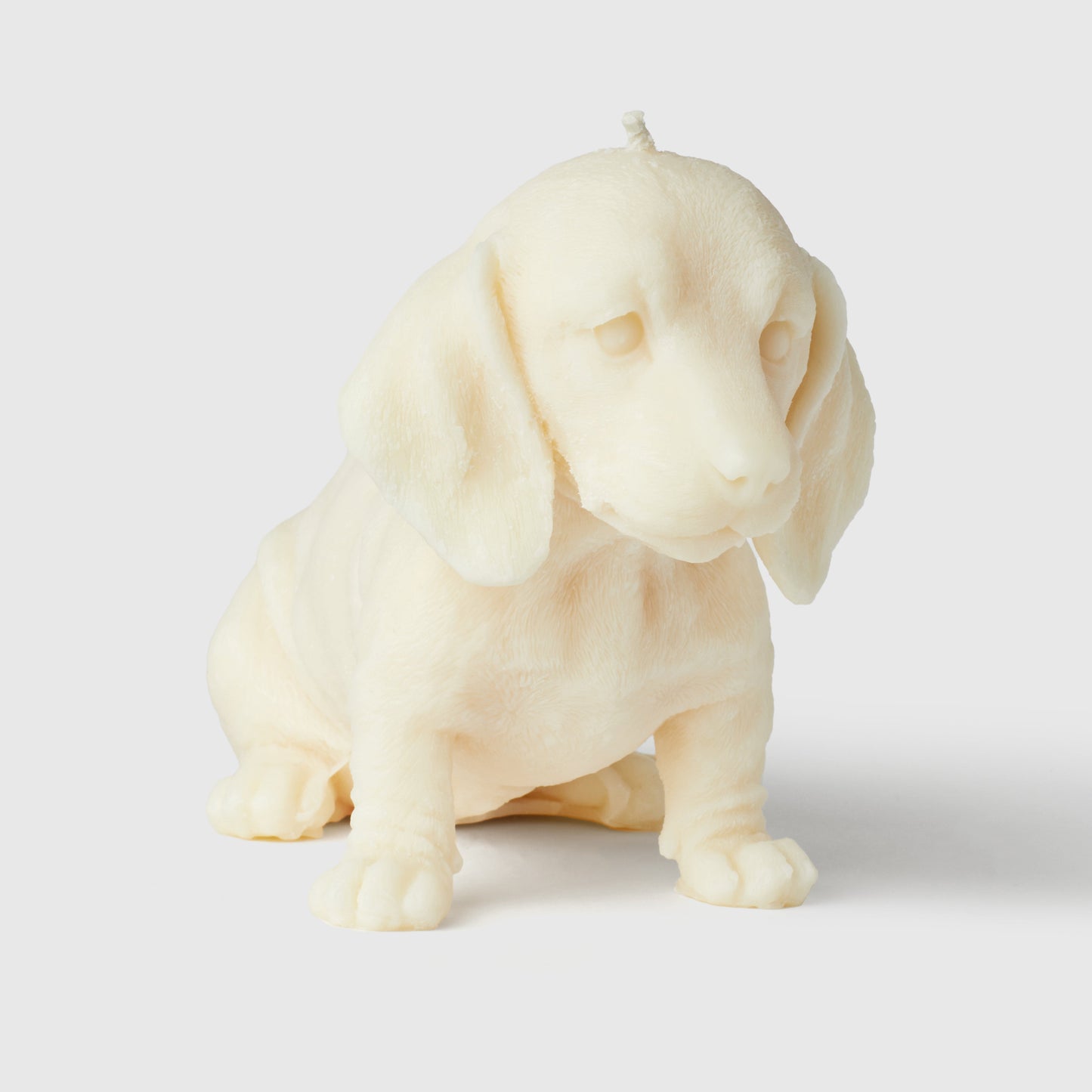 Winston The Dachshund Candle