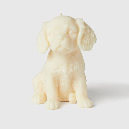 The Cavalier King Charles Candle