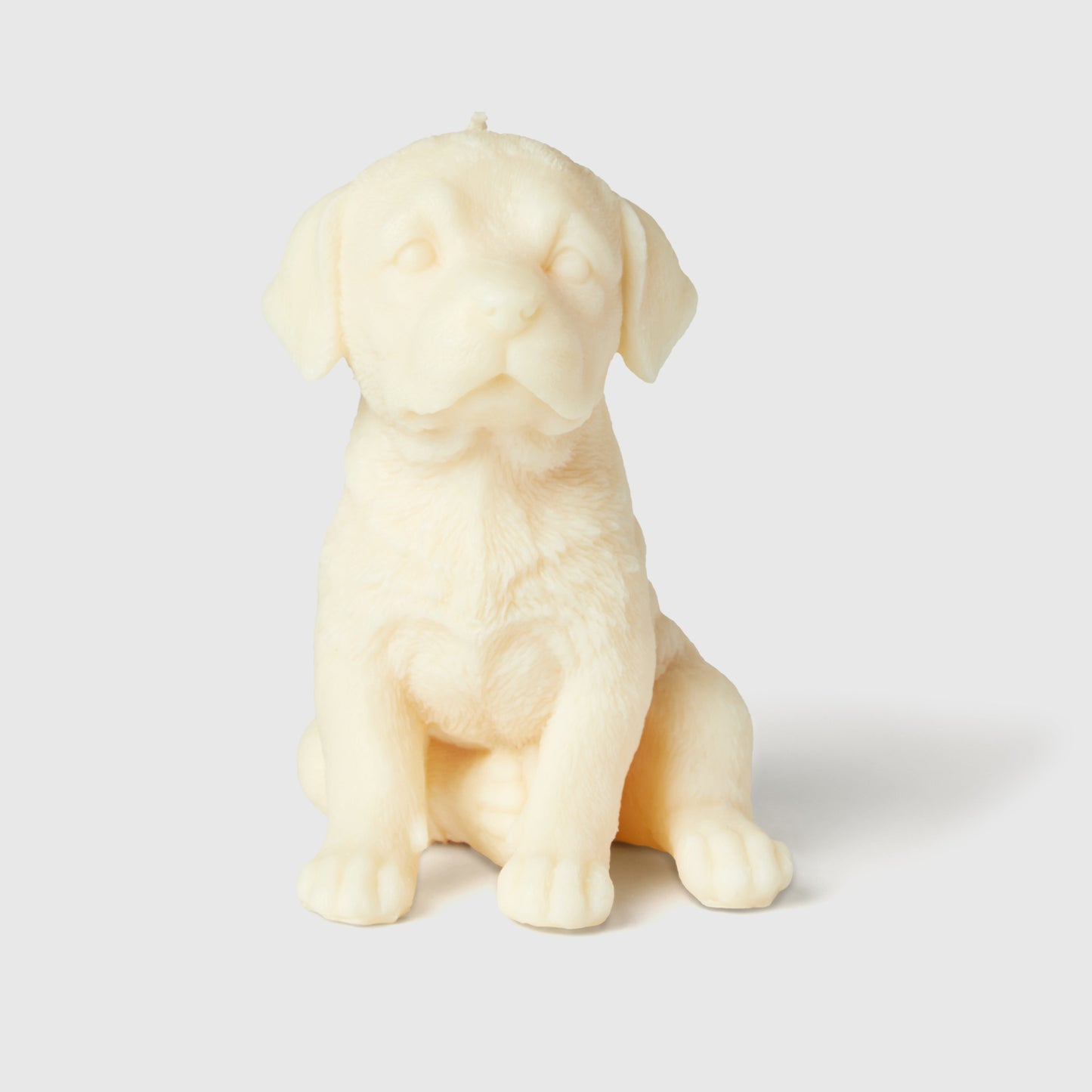 Lenny The Labrador Candle