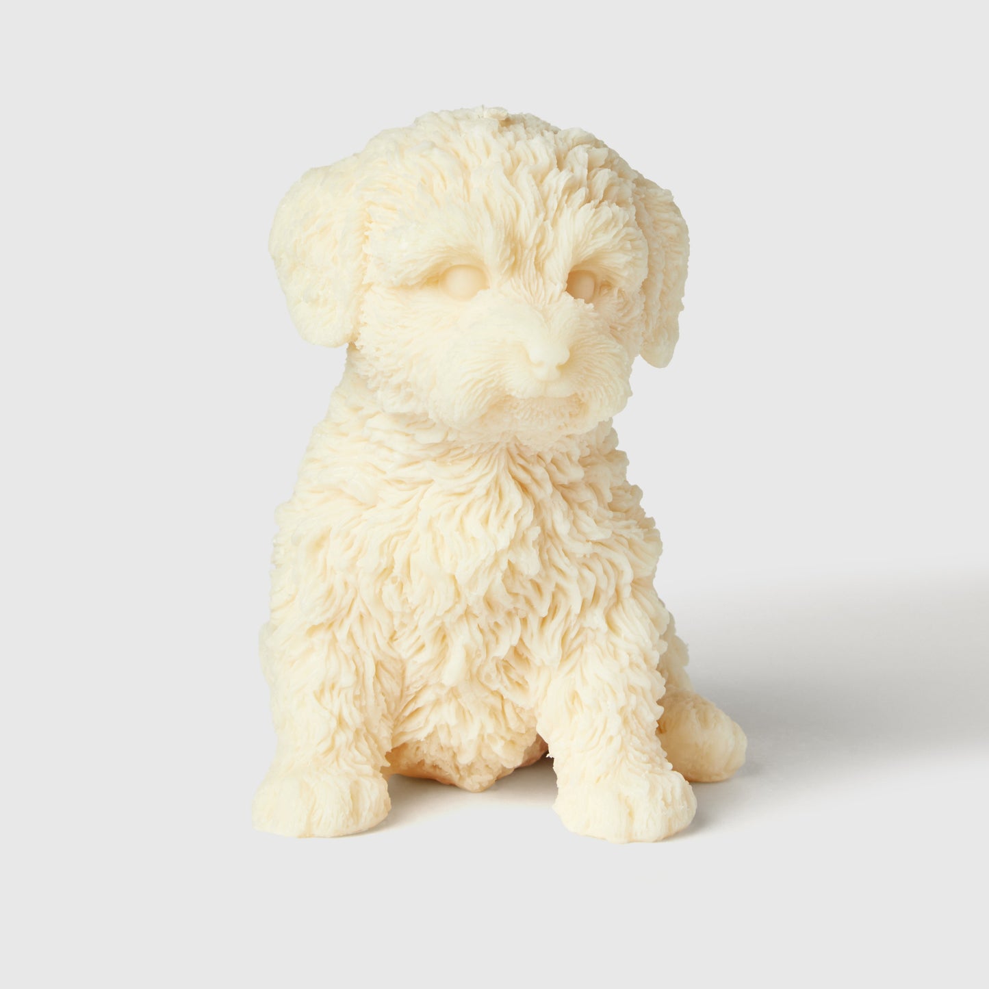 Charlie The Cavapoo Candle