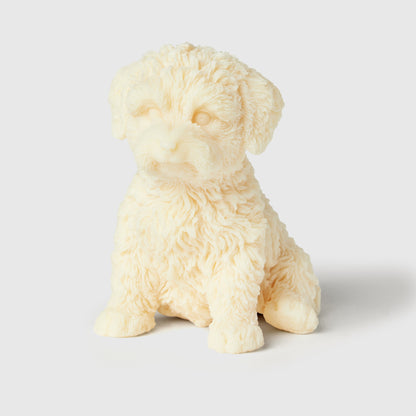 Charlie The Cavapoo Candle