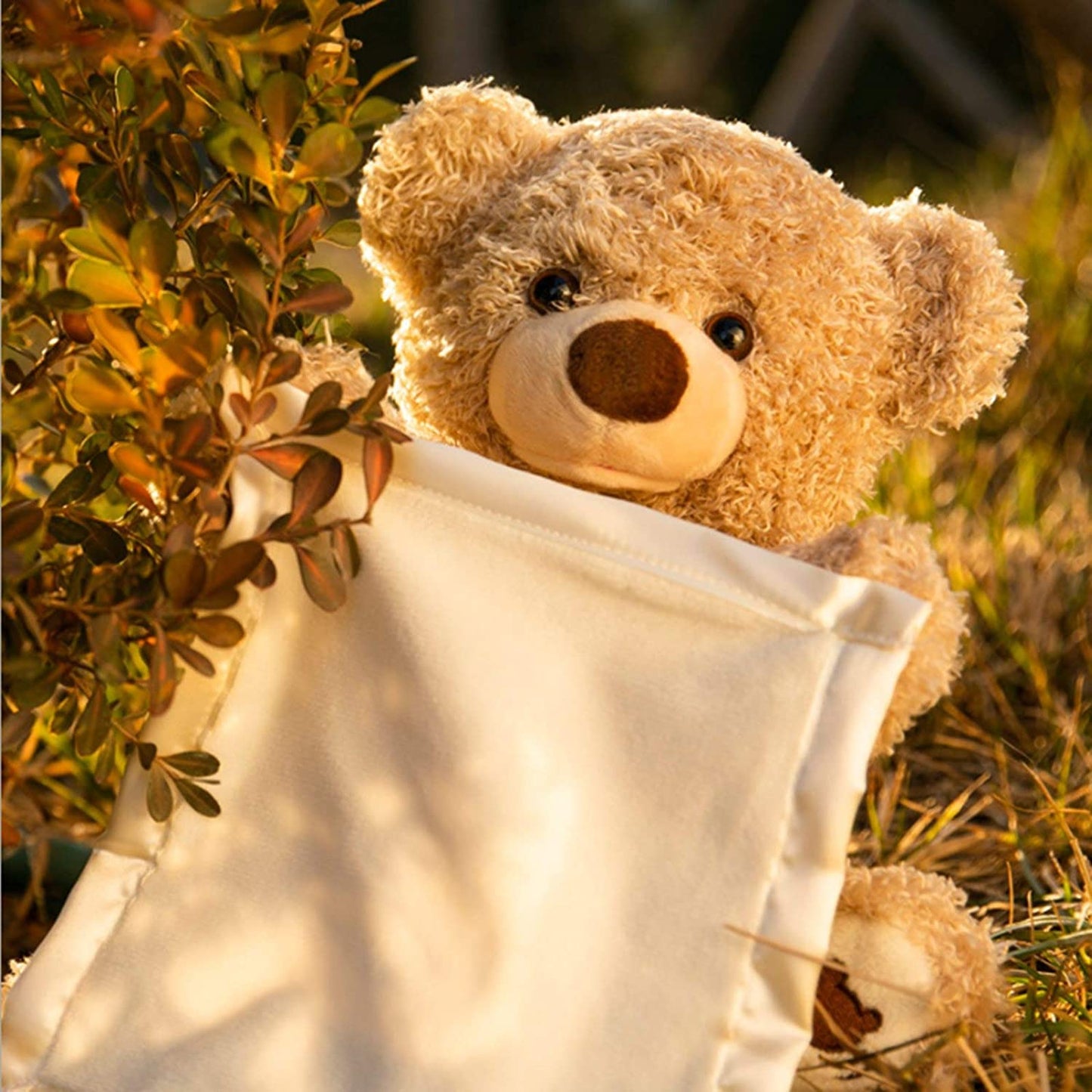 Sweet plush bear | Doudou