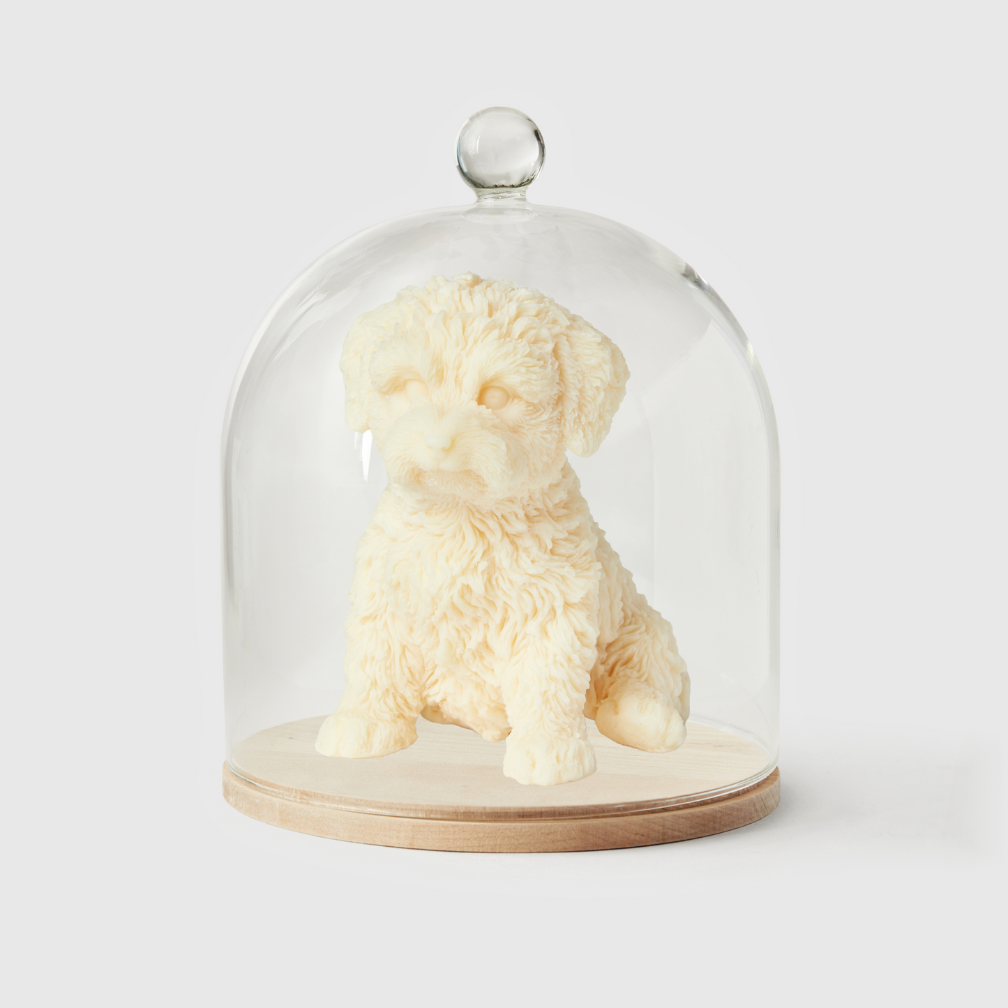 Charlie The Cavapoo Candle